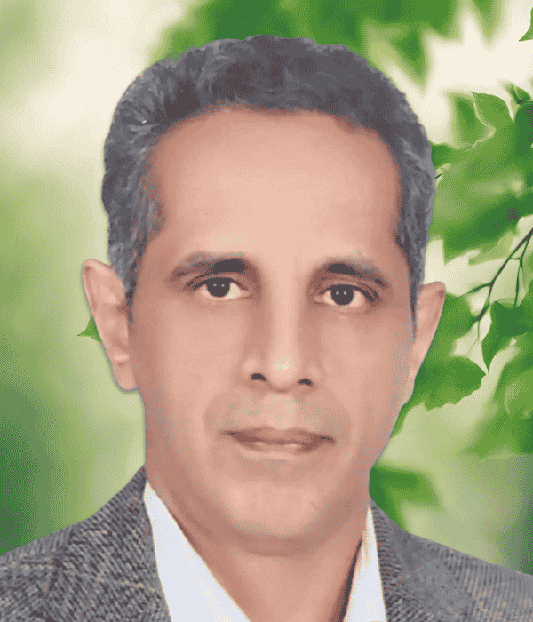 Reza Ahmadi Kahnali